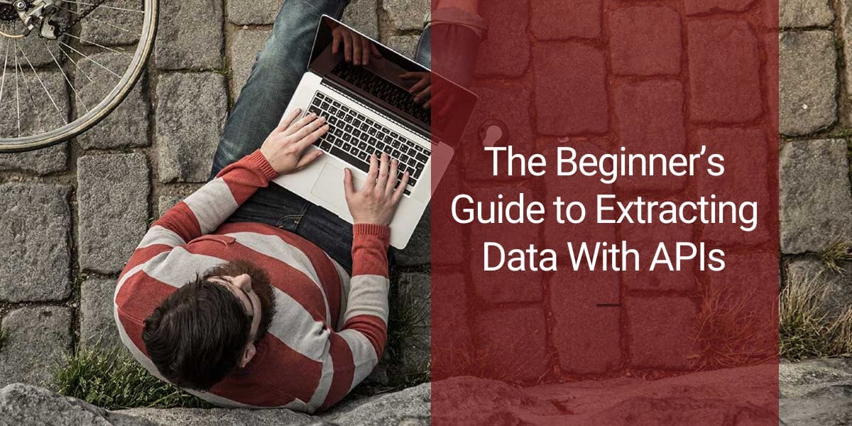 The Beginner’s Guide to Extracting Data With APIs