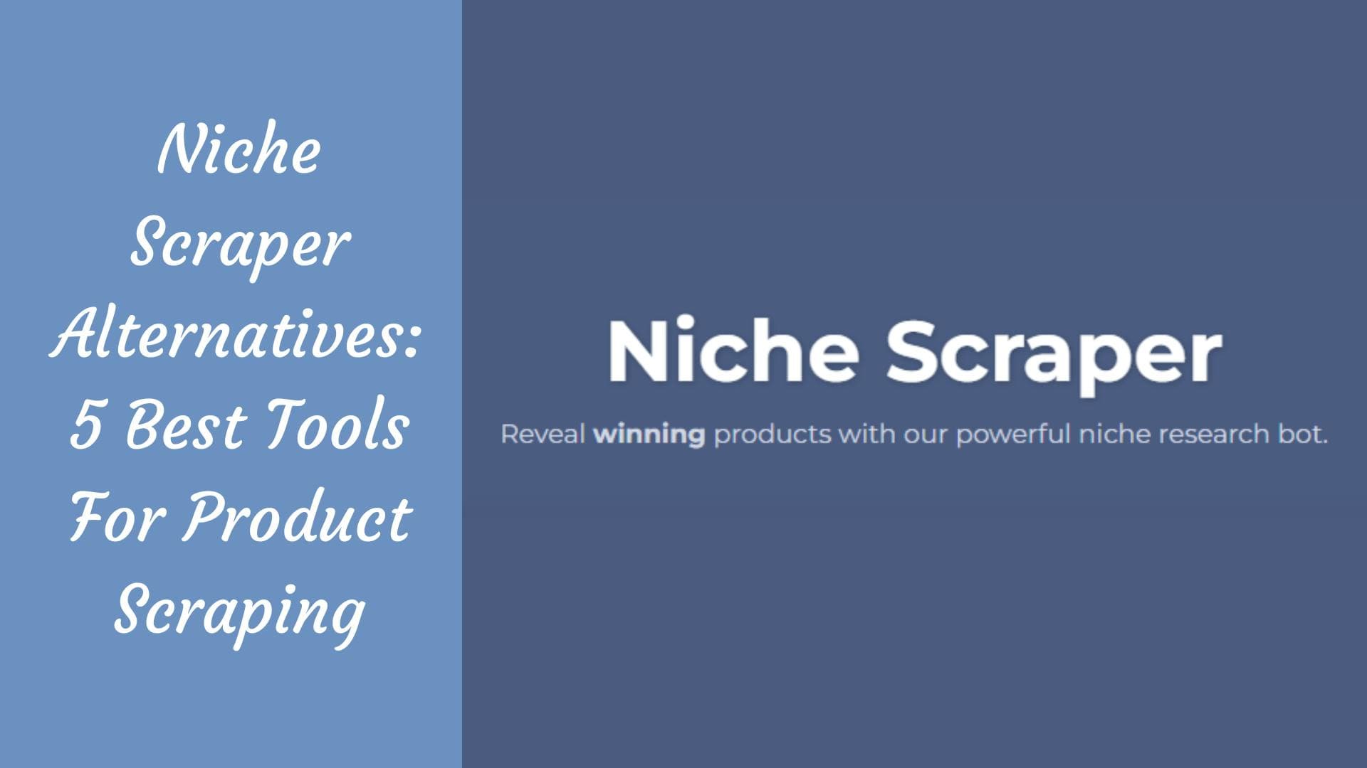 Niche Scraper Alternatives: 5 Best Tools For Product Scraping