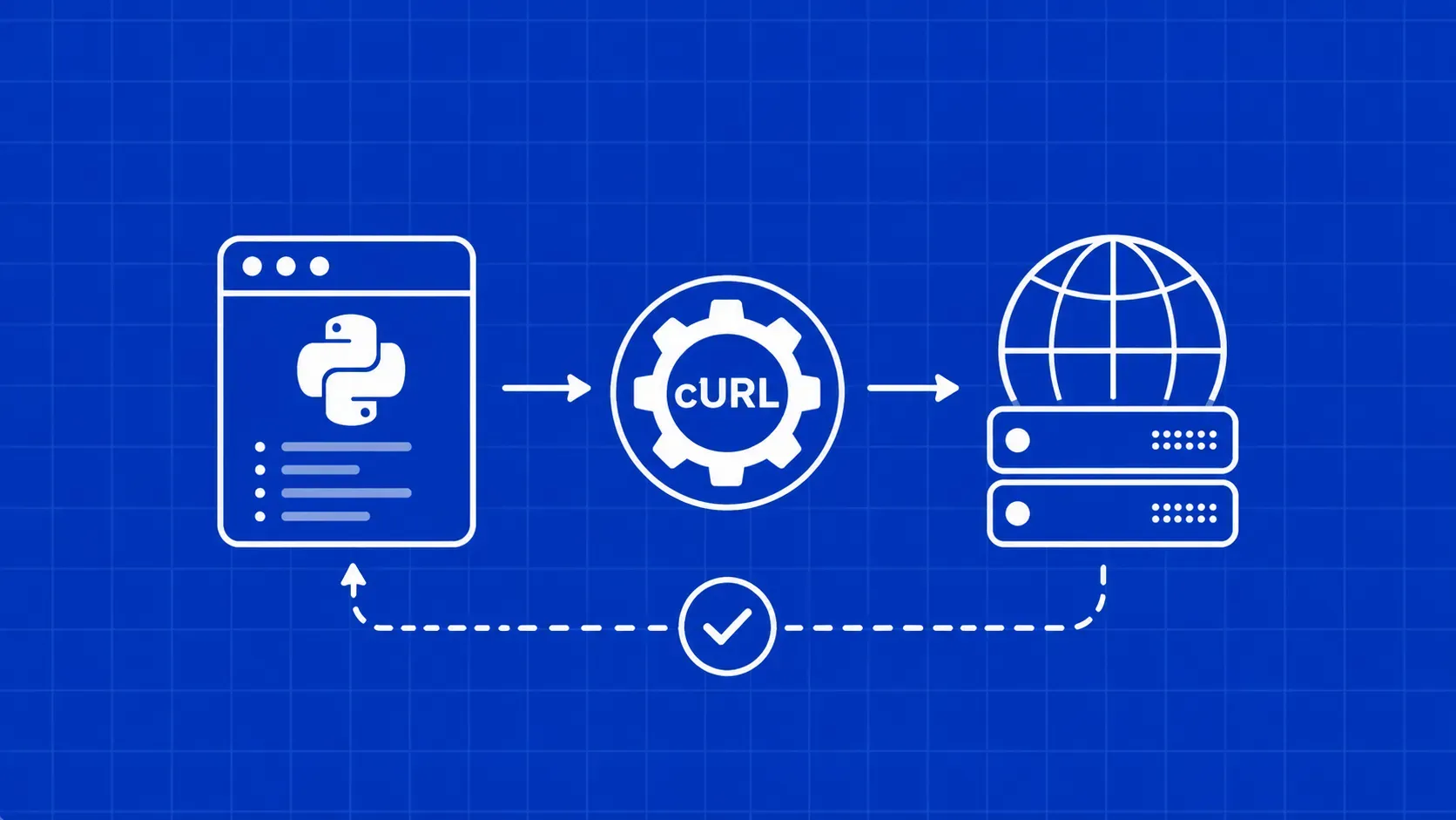 How to Use cURL With Python in 2026